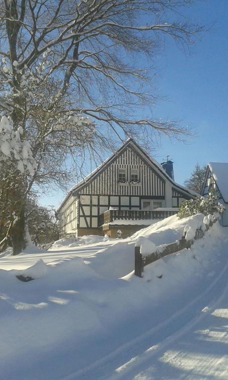 Ferienwohnung Kraehling Schmallenberg Dış mekan fotoğraf